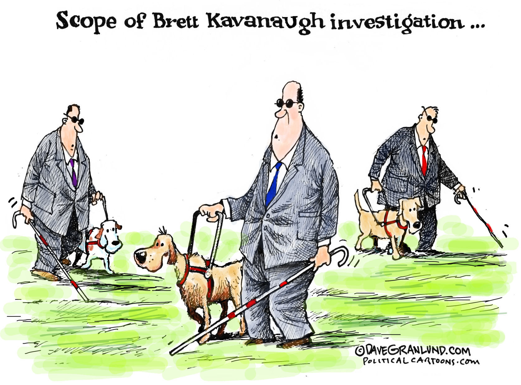Kavanaugh confirmation cartoon